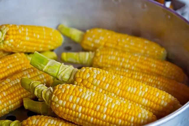 Les Meilleures Aliments pour Bébé : Guide Complet