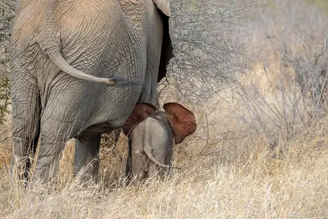 Les Erreurs à Éviter lors de la Naissance de Bébé