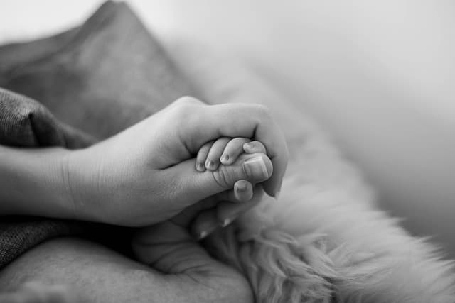 Comment Accompagner le Développement Affectif de Bébé
